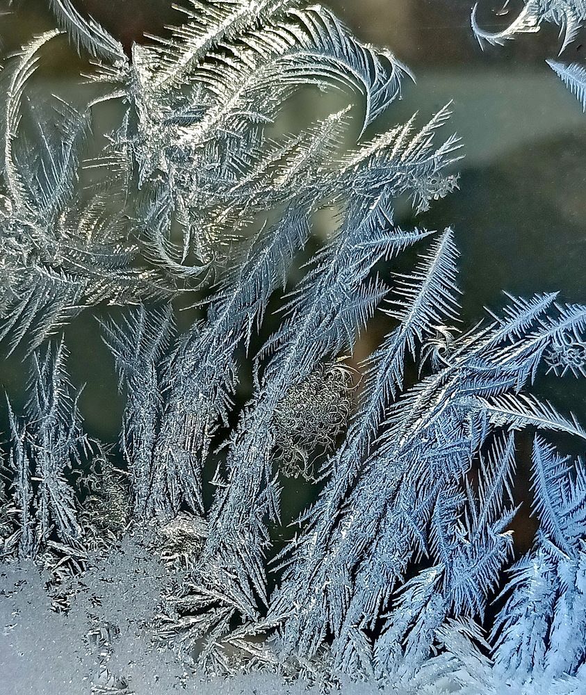 Photograph by Sergei Petrov