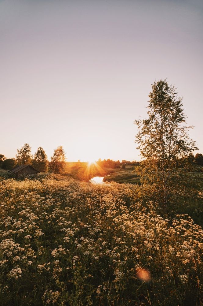 Photograph by Сергей