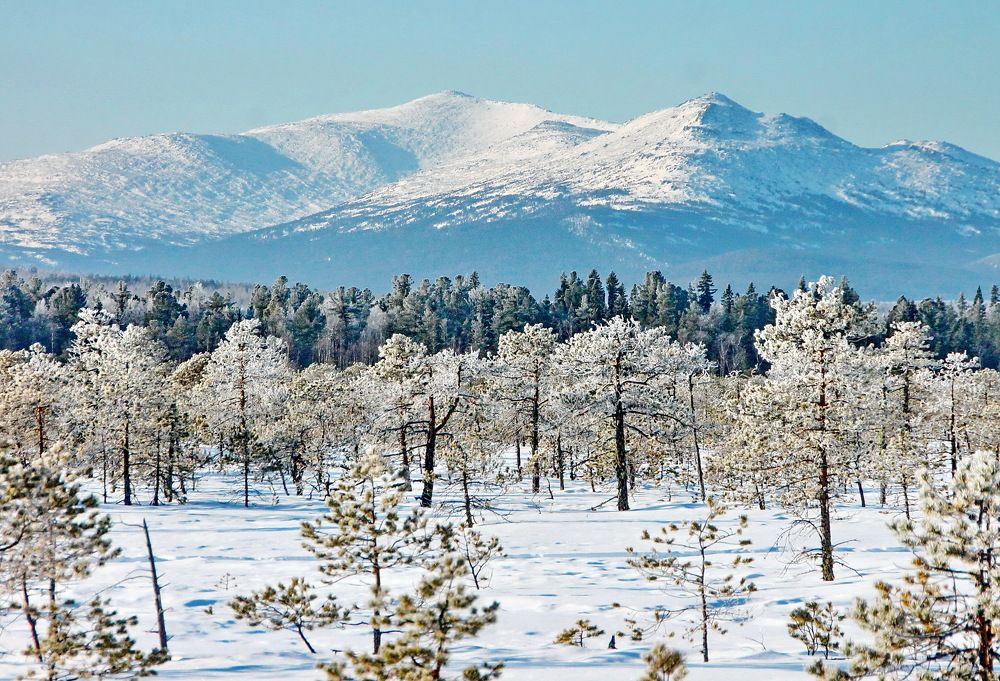 Photograph by Sergei Petrov