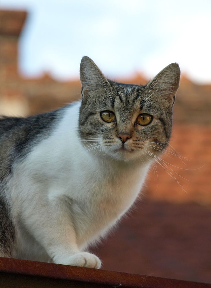 Photograph by Bob Gajdoš