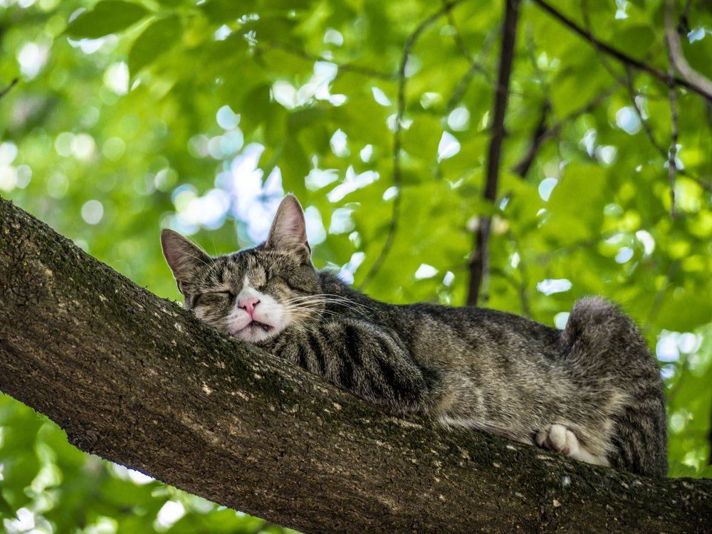 Photograph by Руслан Ибрагимов