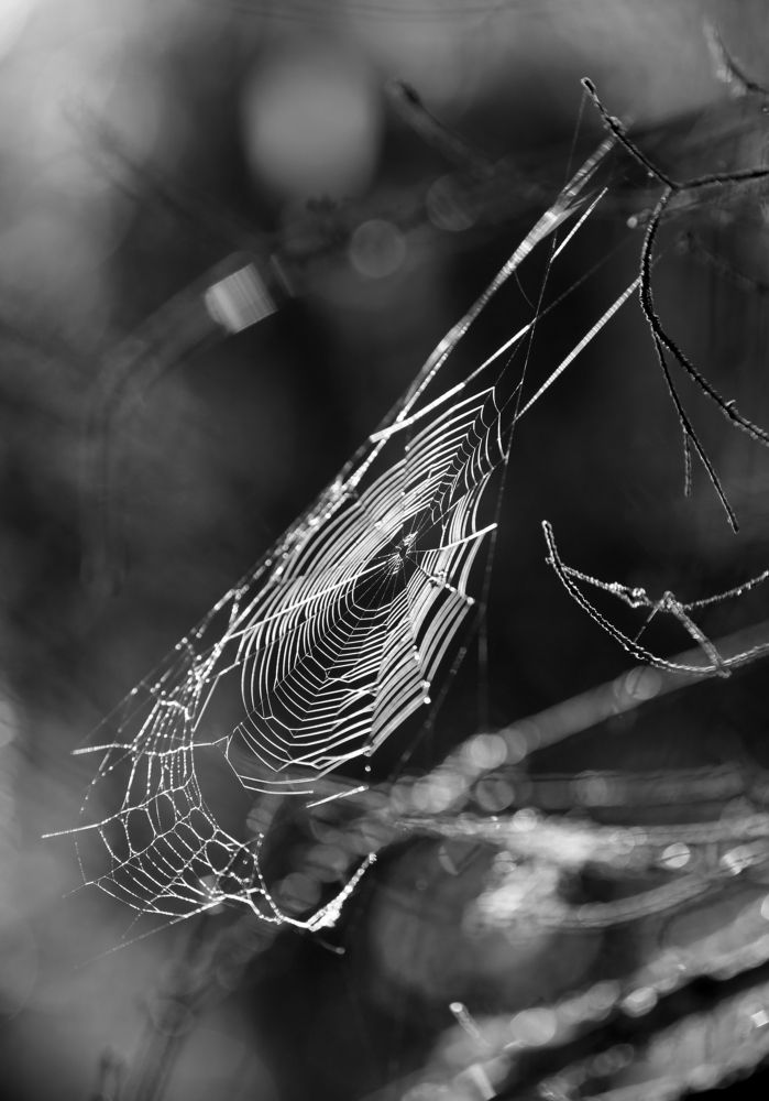 Photograph by Унку Юрий