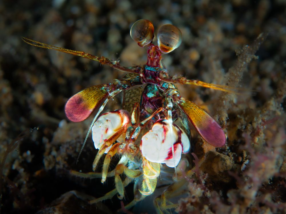 Photograph by Cecilia Muniz