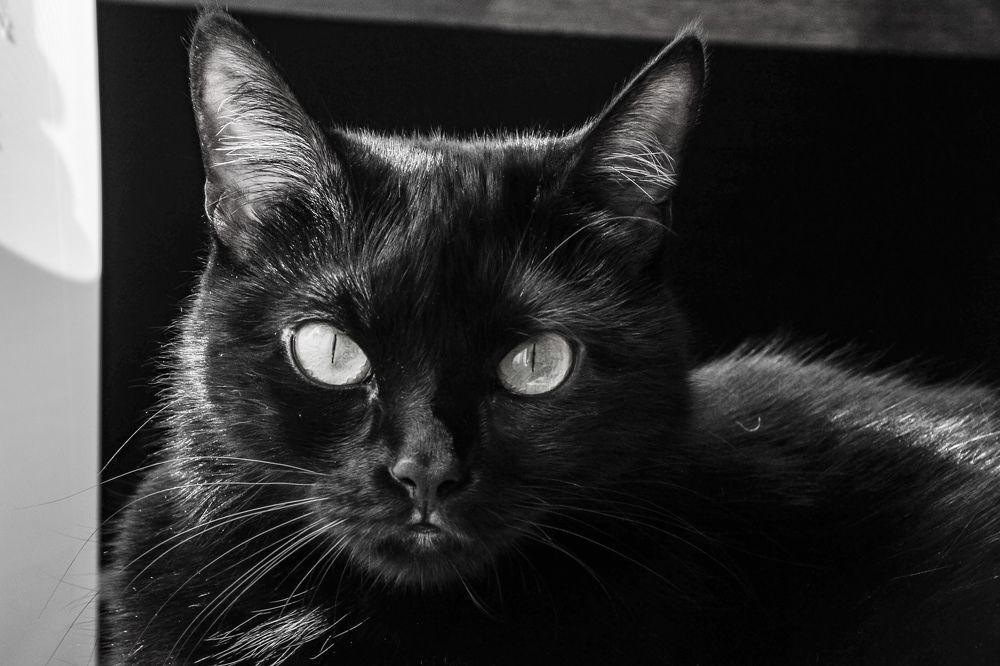 Photograph by Наталья