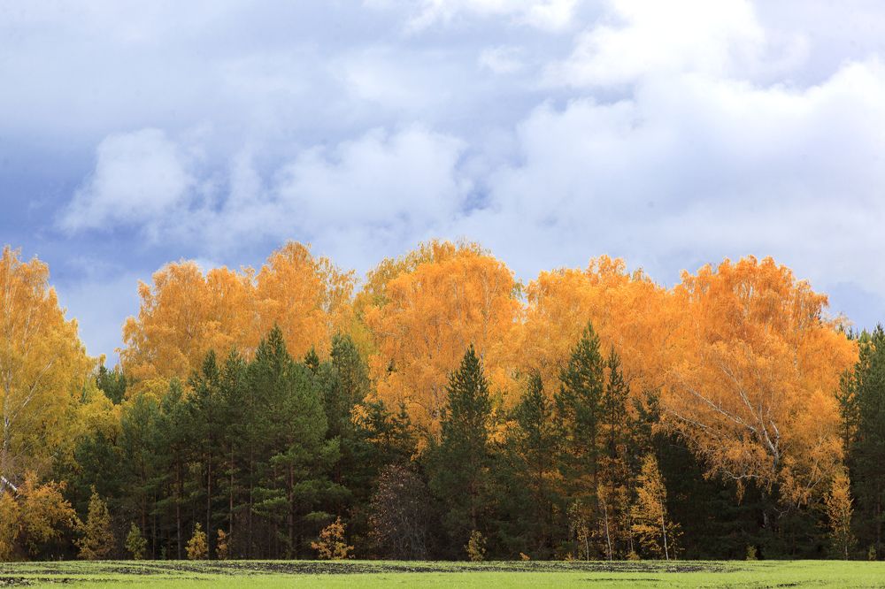 Фотография автора Рамиль Фаттахов