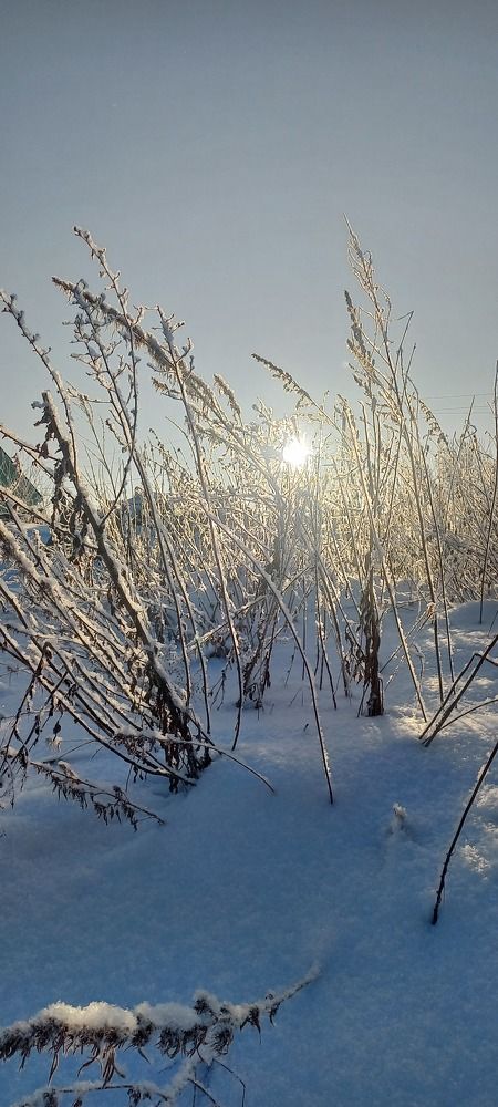 Photograph by Татьяна Сюсина