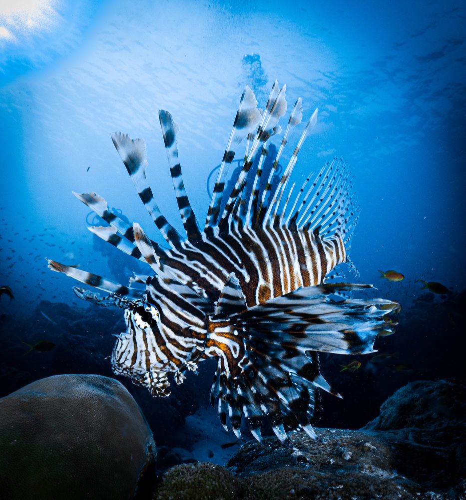 Photograph by Cecilia Muniz