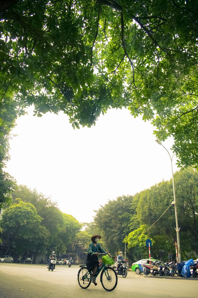 Photograph by nguyen bryan