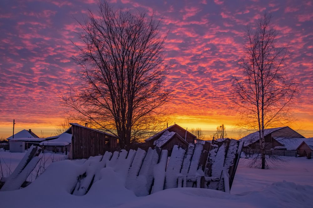 Photograph by Дмитрий Алексеев