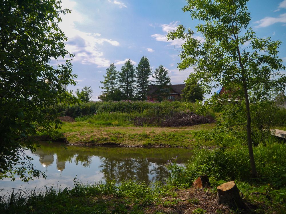 Photograph by Наталья Баженова