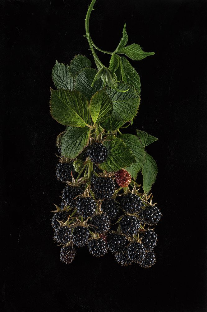 Berries