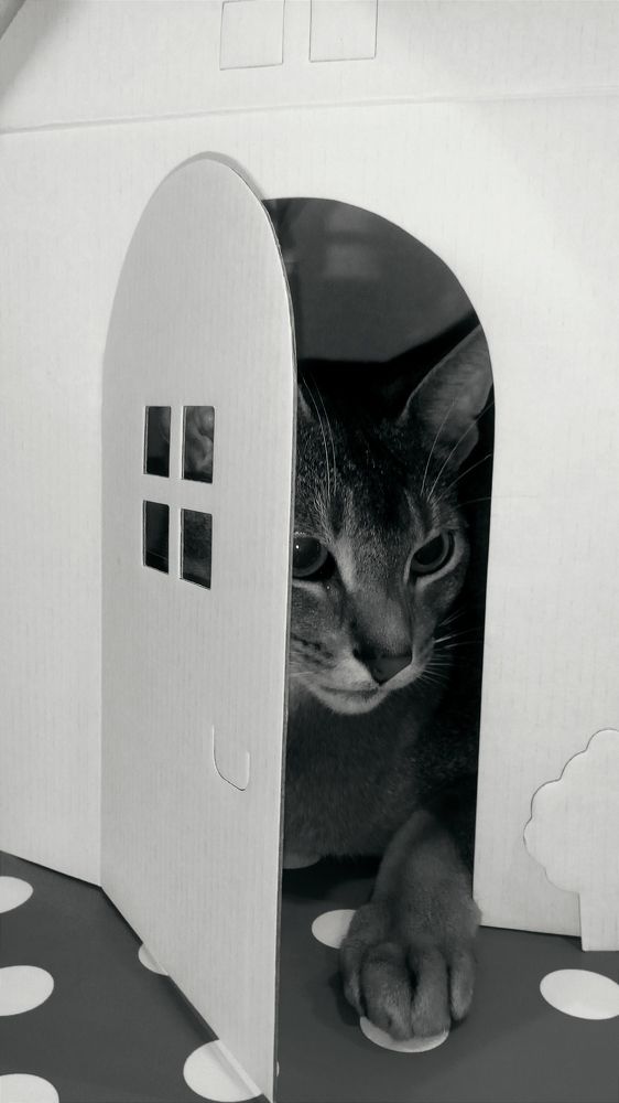 Photograph by Елена Процек