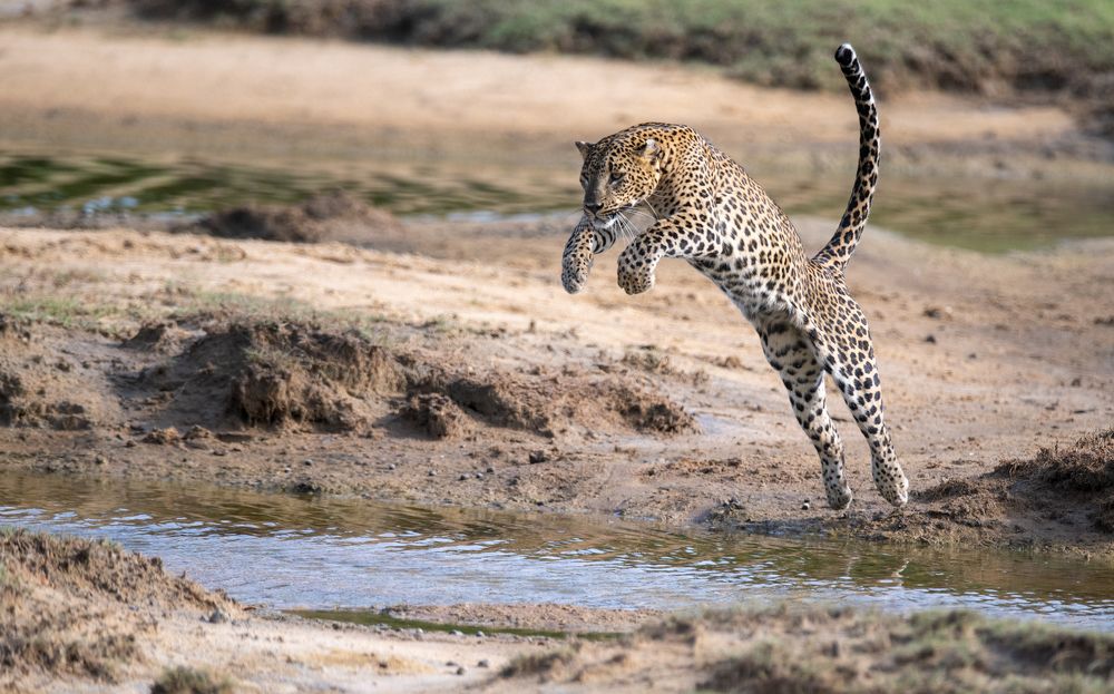 Photograph by Roshana Prasad