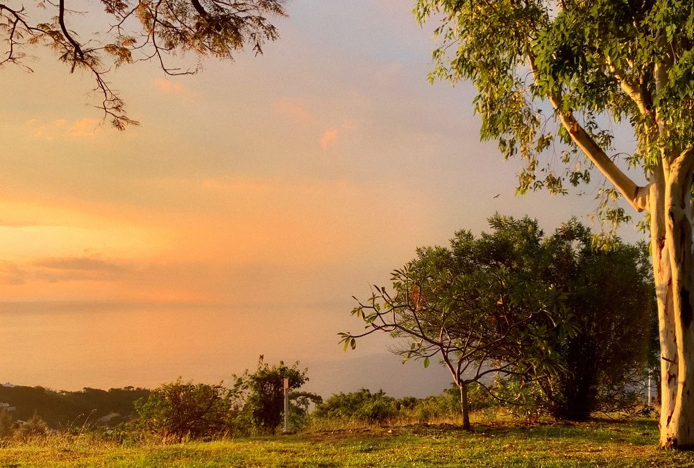 Photograph by Christine ECHEVET-ADAM de VILLIERS