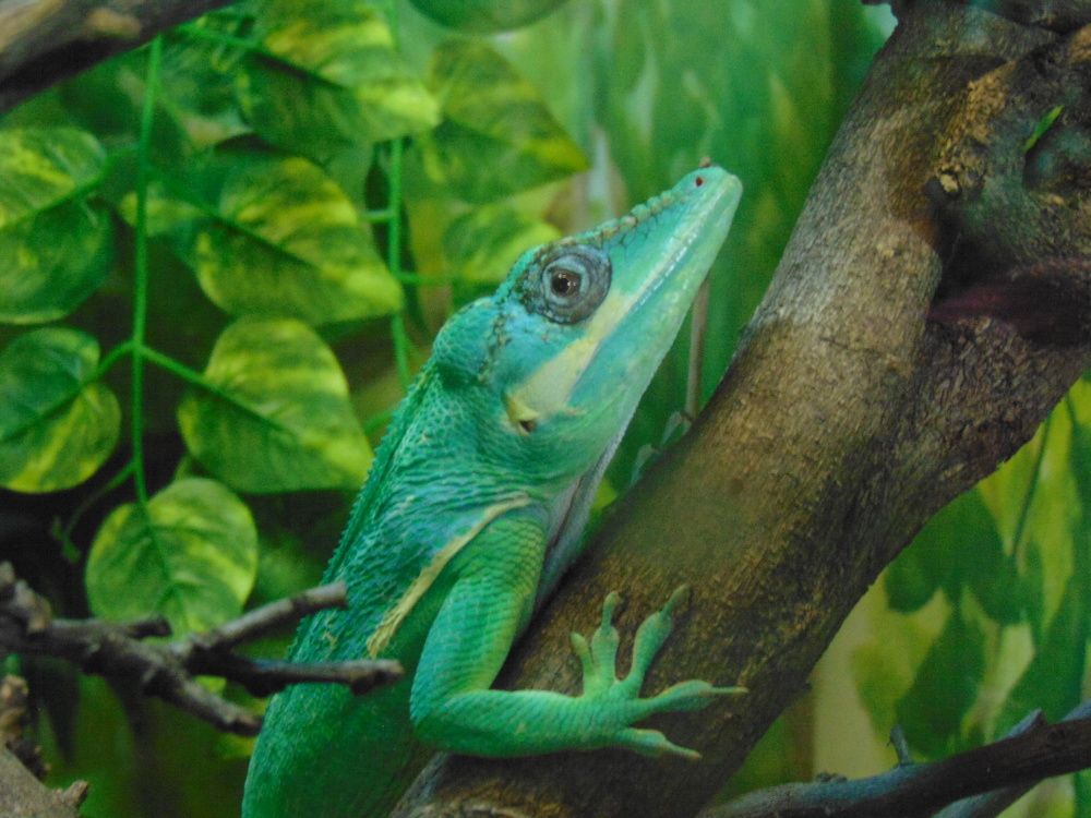 Photograph by Anna Veľasová