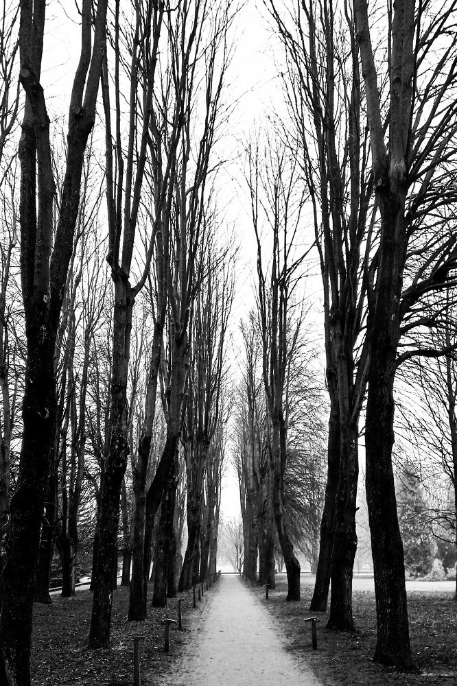 Photo #8866667