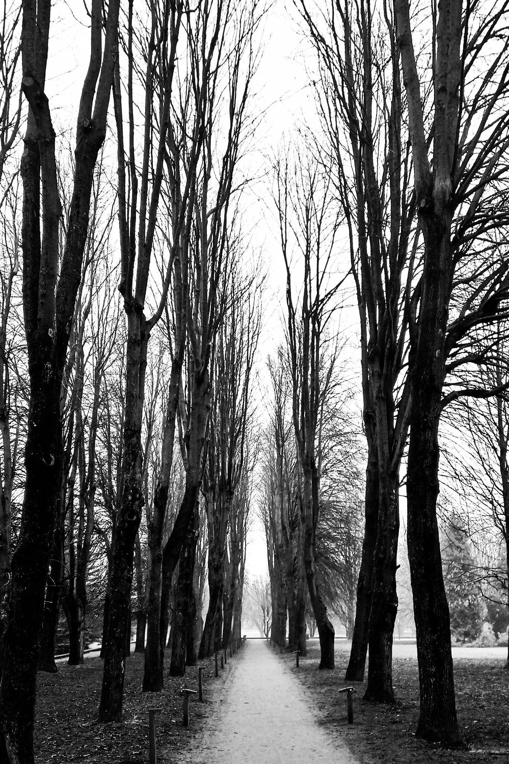 Photo #8866667
