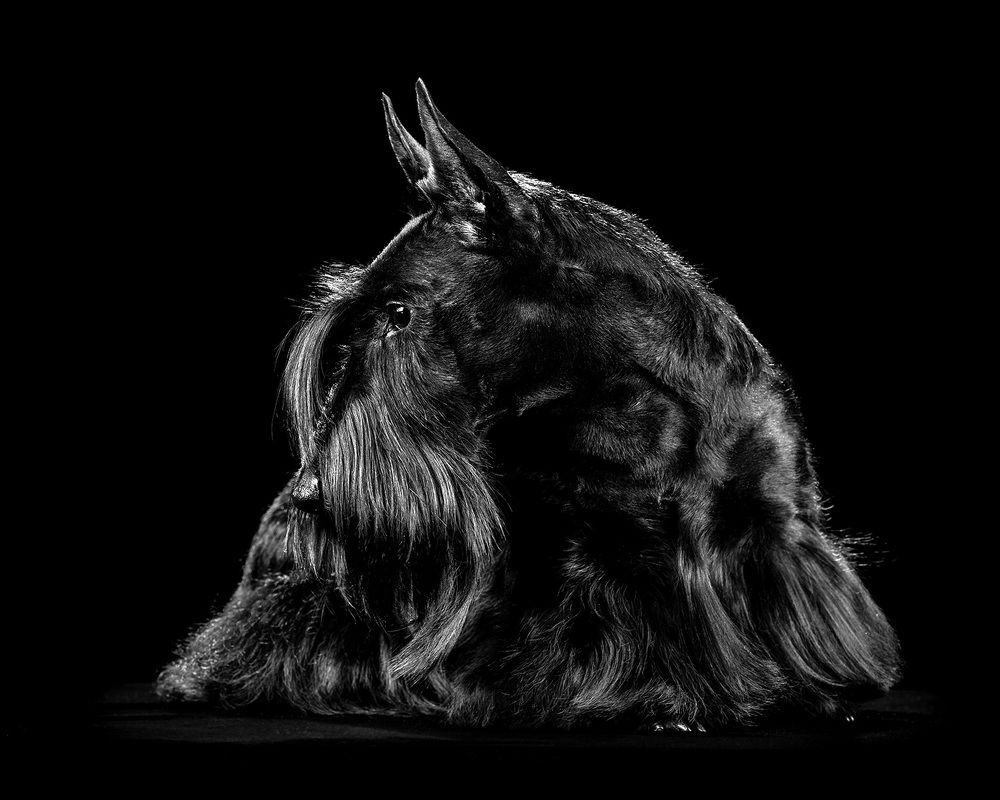 Фотография автора Оксана Серова