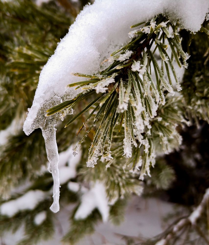Фотография автора Вадим Лабитов