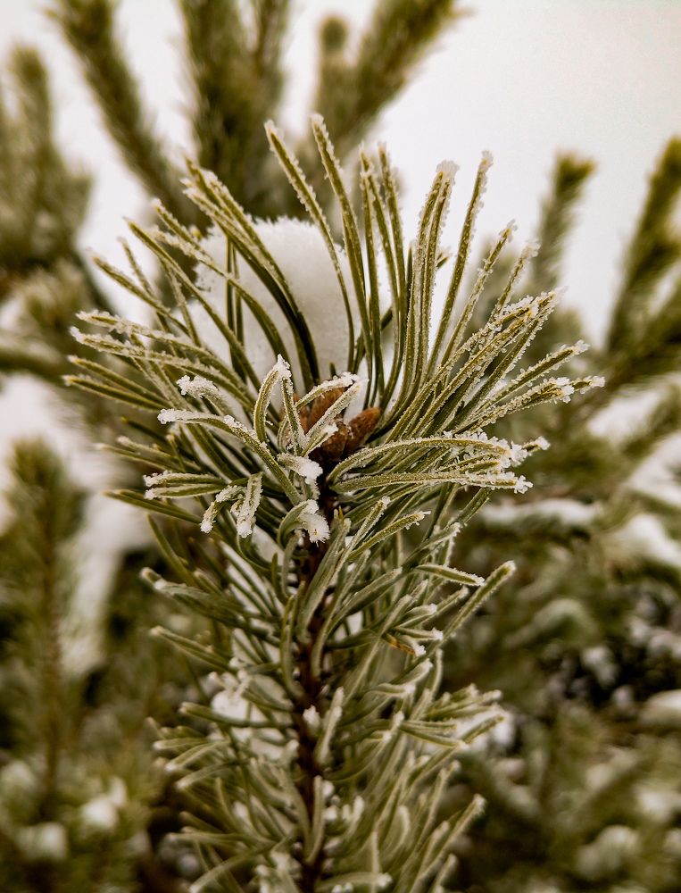 Фотография автора Вадим Лабитов