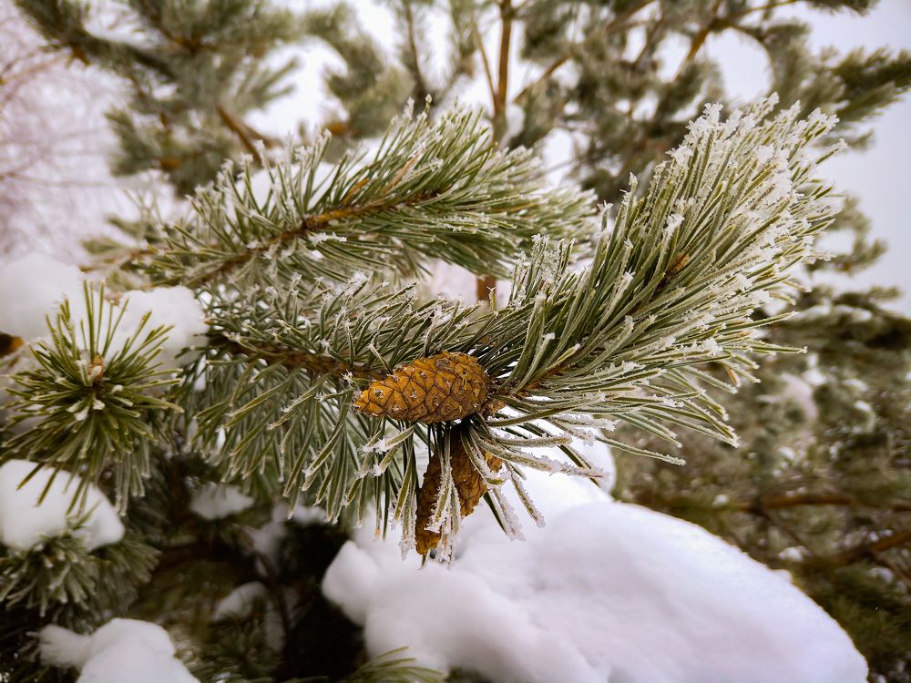 Фотография автора Вадим Лабитов