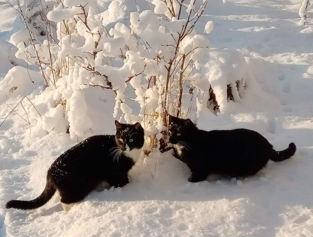 Фотография автора Ирина