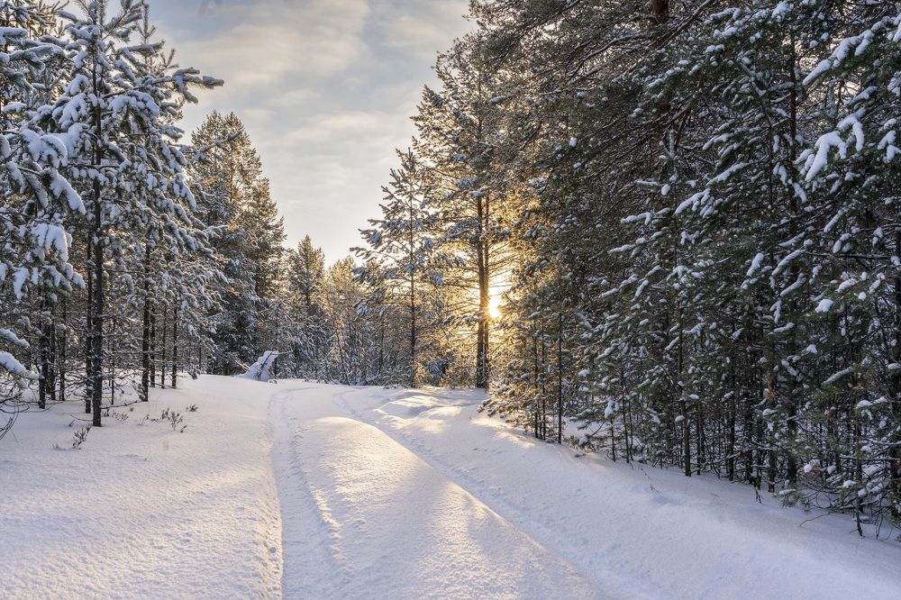Photograph by Светлана Волкова