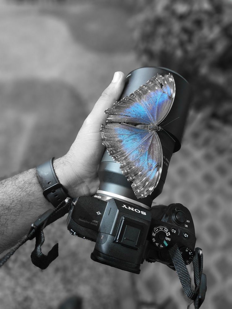 Фотография автора Ahmad Alhussaini