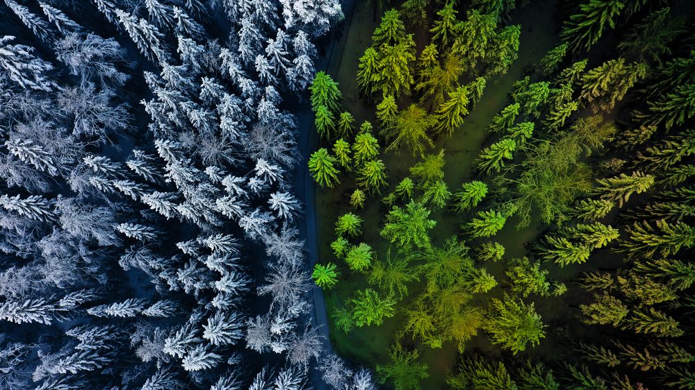 Photograph by Mohamad Ali