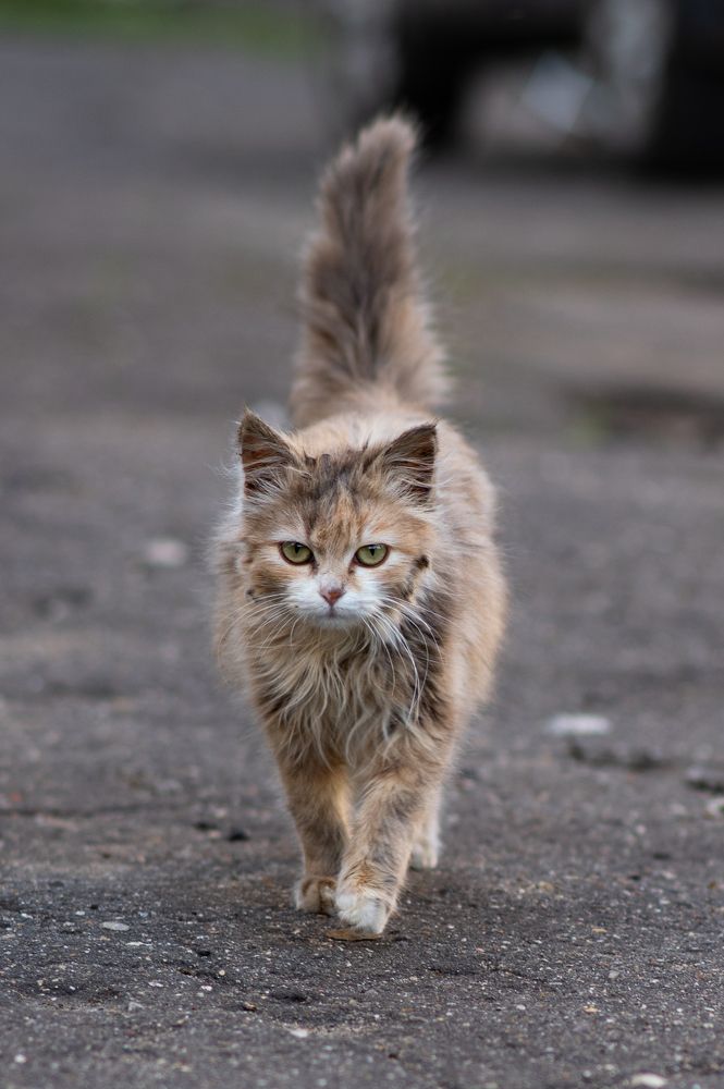 Photograph by Ольга Решетникова