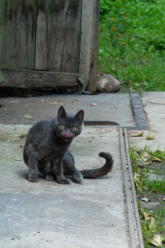 Photograph by Ольга Решетникова