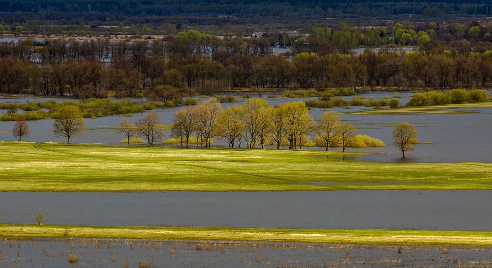 Photograph by Дмитрий Алексеев