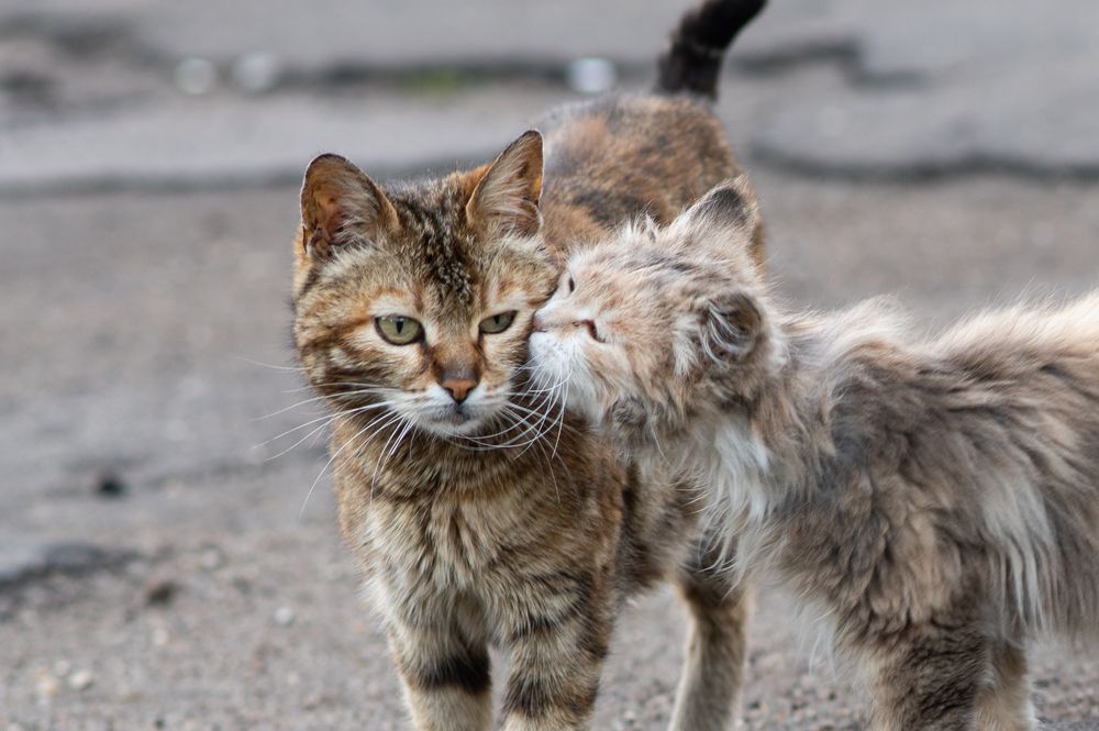 Photograph by Ольга Решетникова