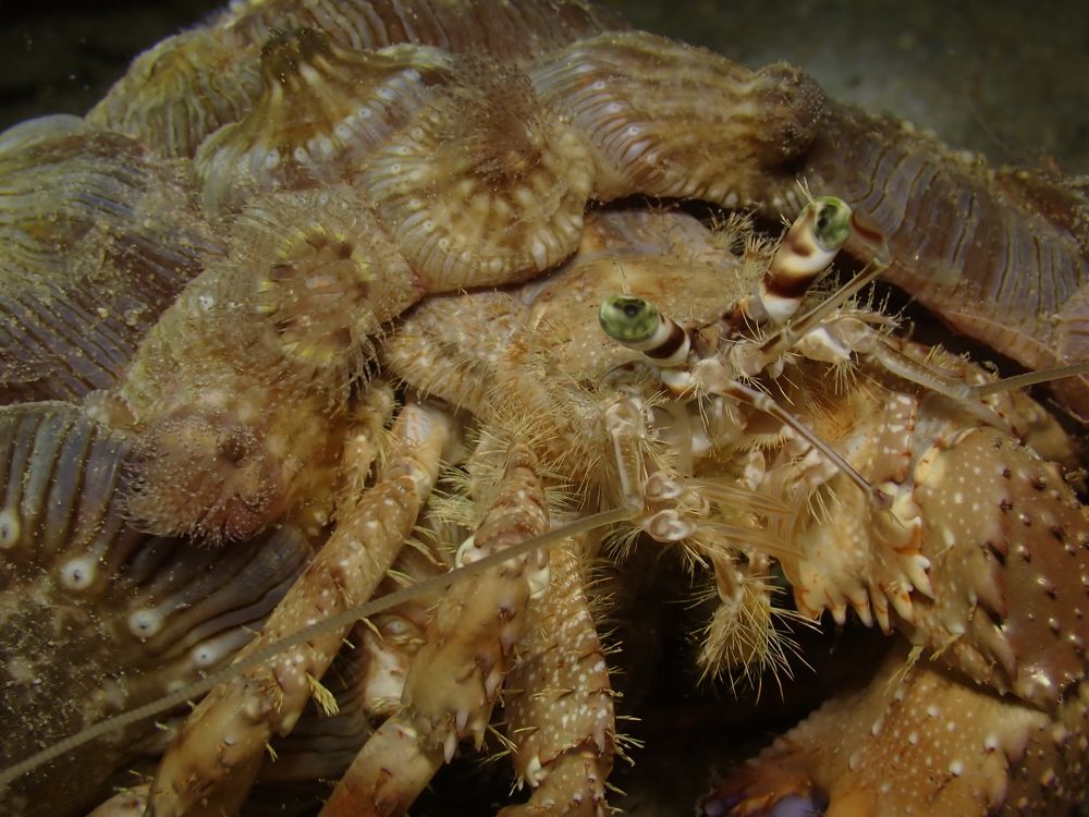 Photograph by Дмитрий Челноков