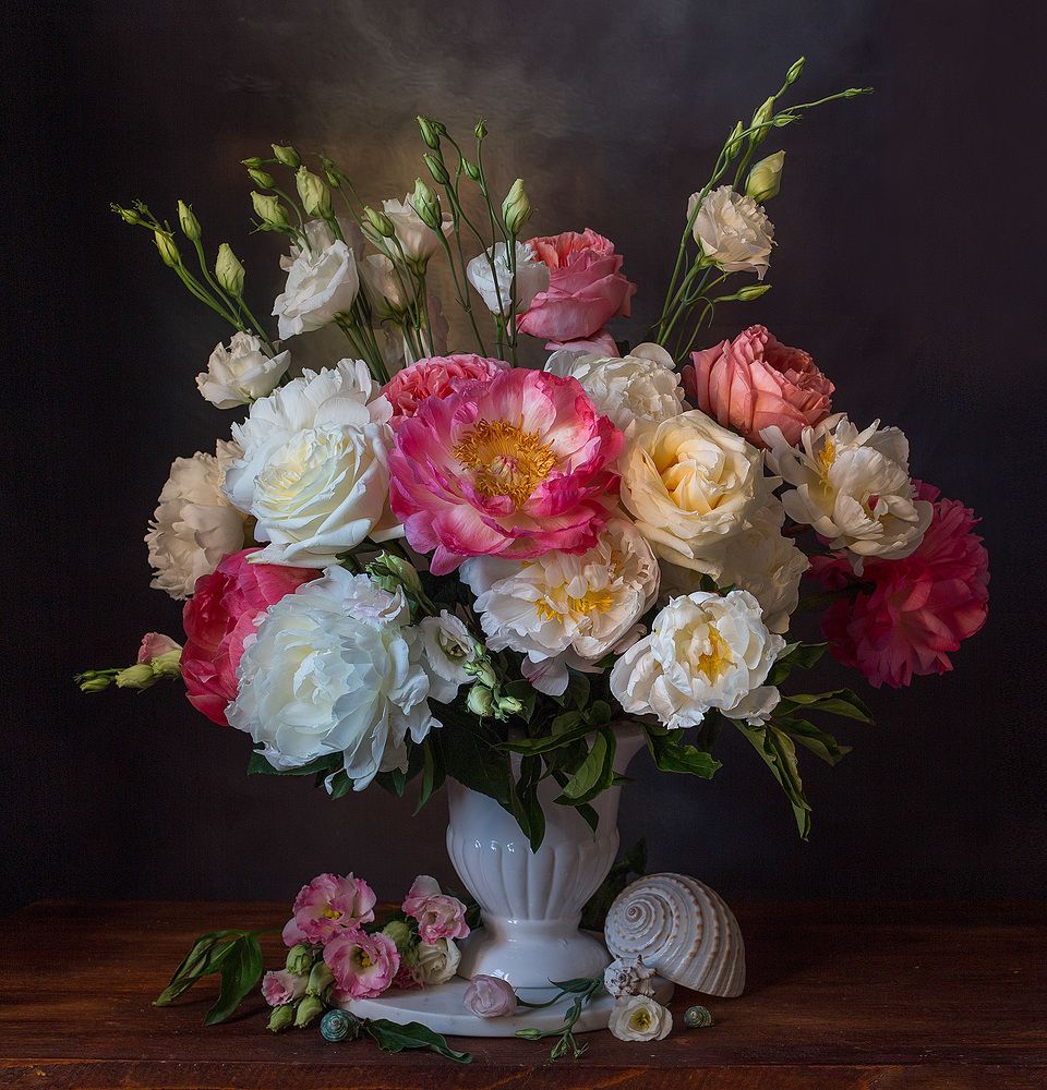 Фотография автора Алина Ланкина