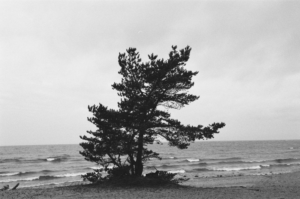 Photograph by Андрей Арама