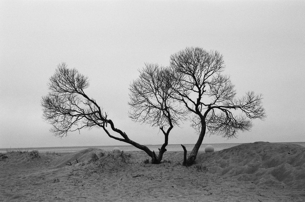 Photograph by Андрей Арама