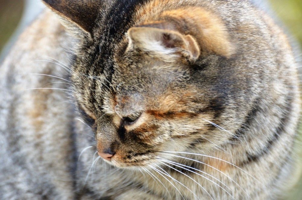 Photograph by Дмитрий Цикин