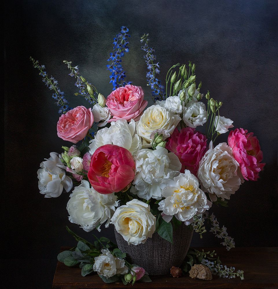 Фотография автора Алина Ланкина