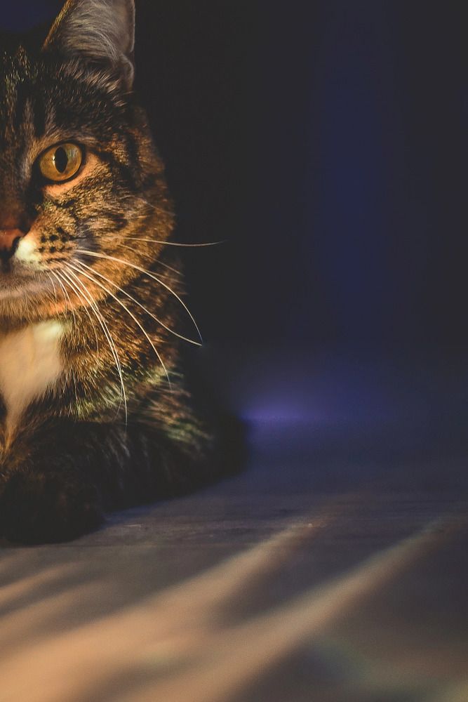 Photograph by Анна Соколович