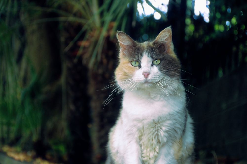 Photograph by Дмитрий Цикин