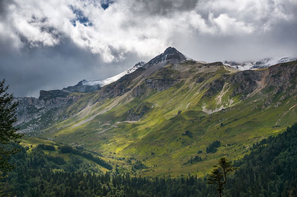 Photograph by Николай Беспалов