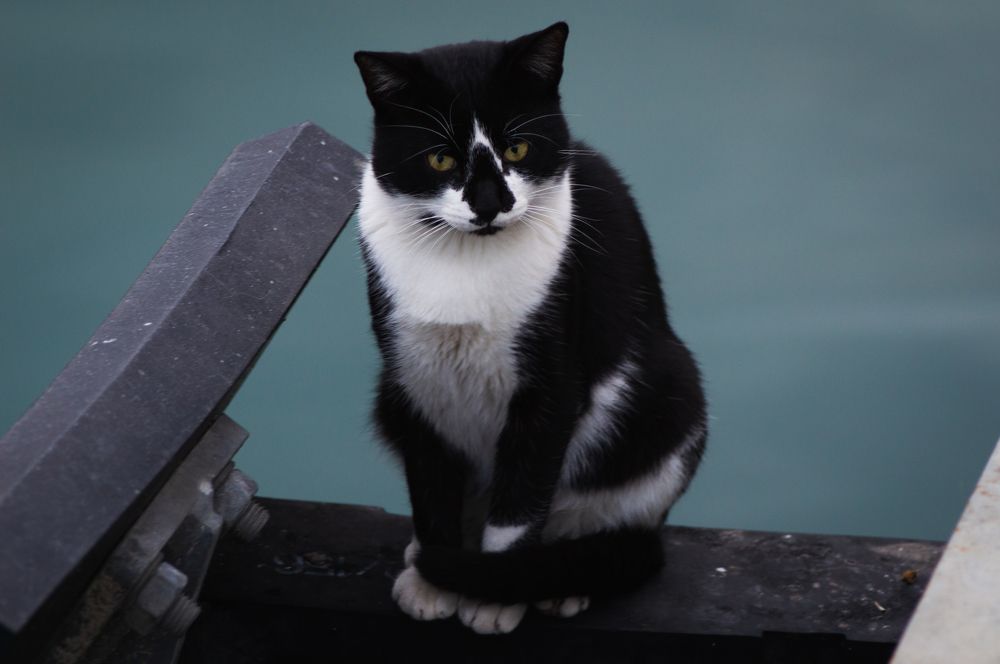 Photograph by Дмитрий Цикин