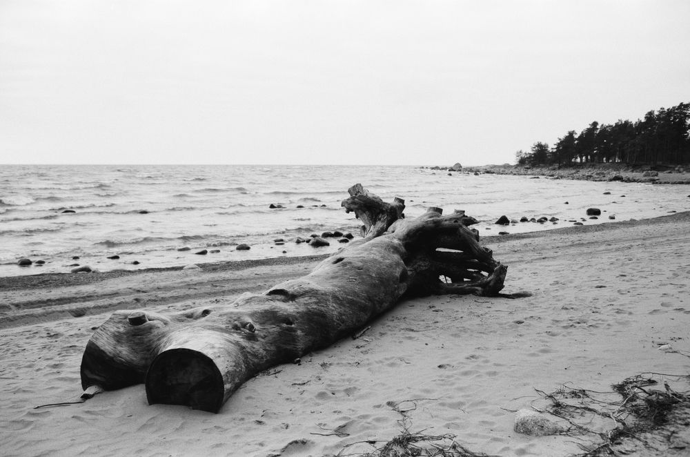 Финский залив осенью.