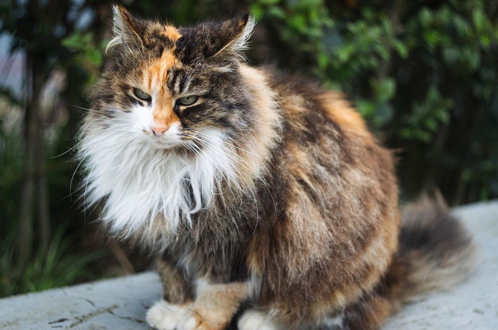 Photograph by Дмитрий Цикин