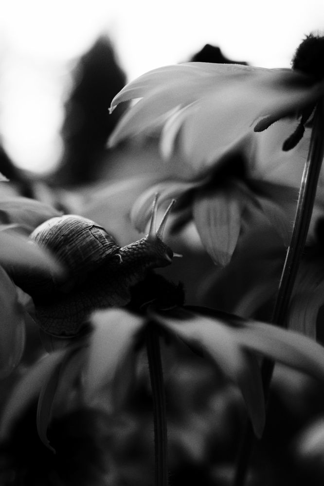 Photograph by Василий Селиванов