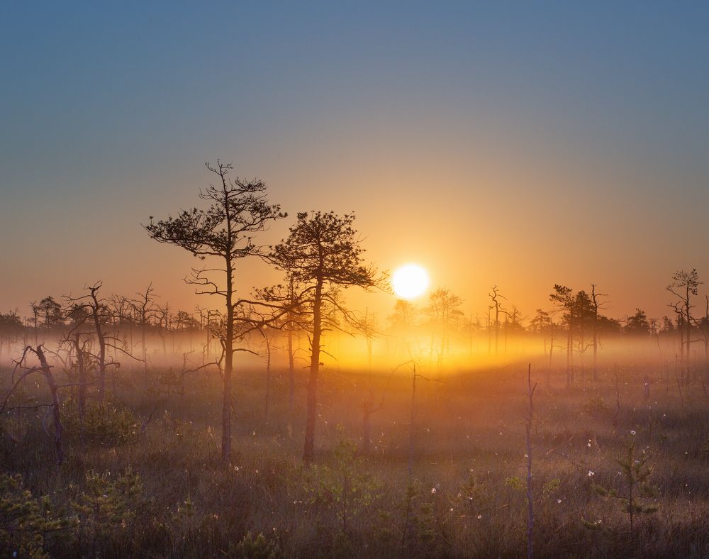 Photograph by Анастасия Моисеенко