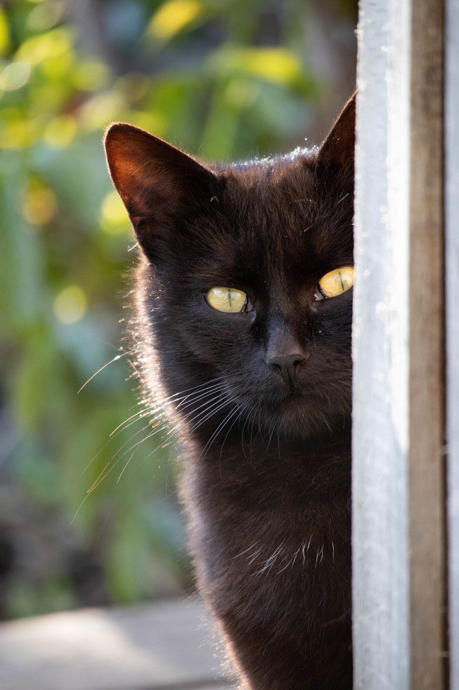 Photograph by Иван Мосьянов