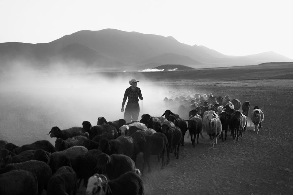 Photograph by Ali Karimi