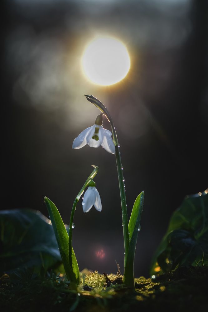 Photograph by Быканова Виктория